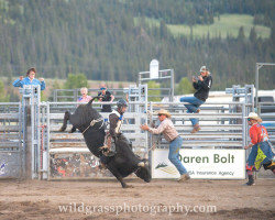 wildgrassphotography dsc wildgrassphotography dsc